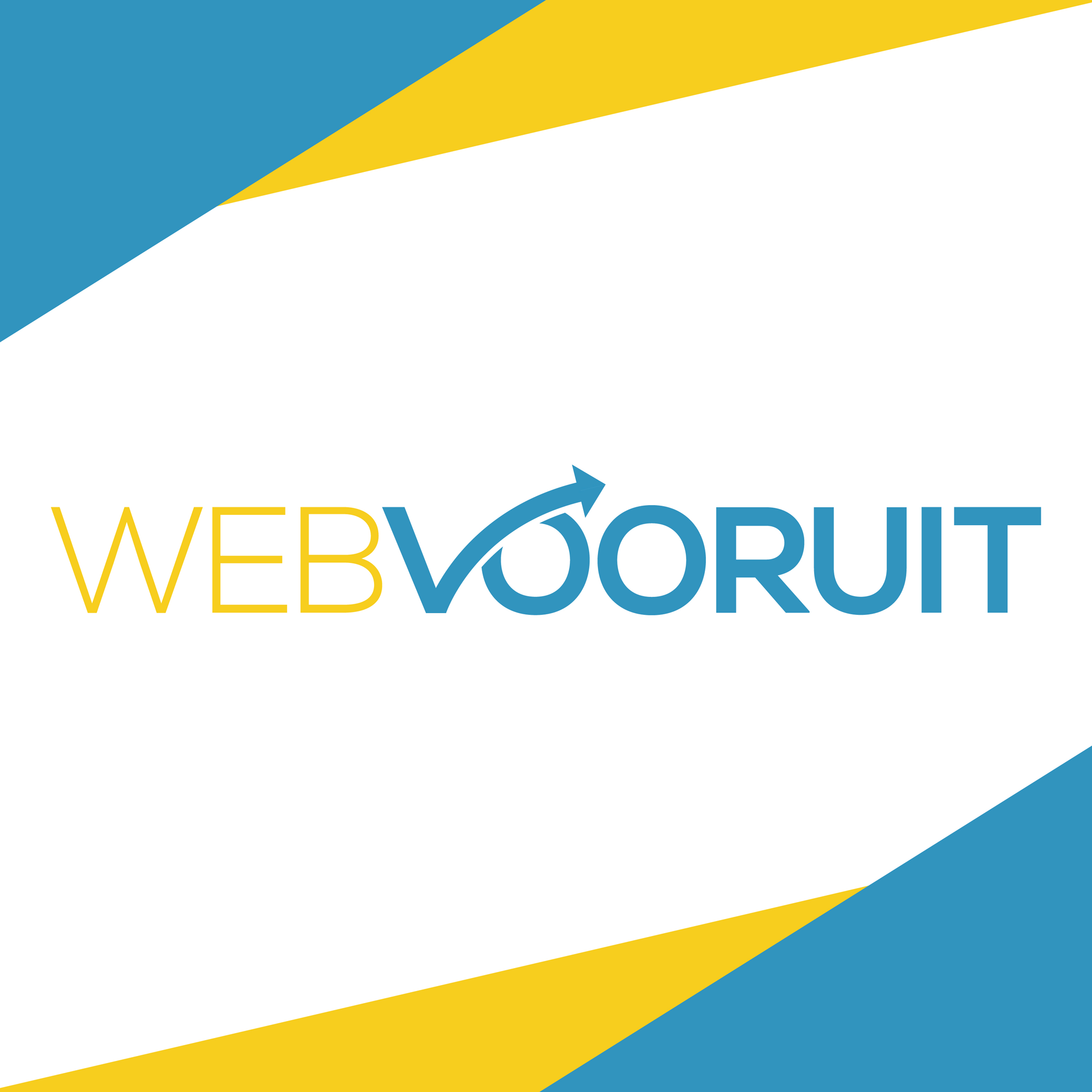 Copernica partner: WebVooruit